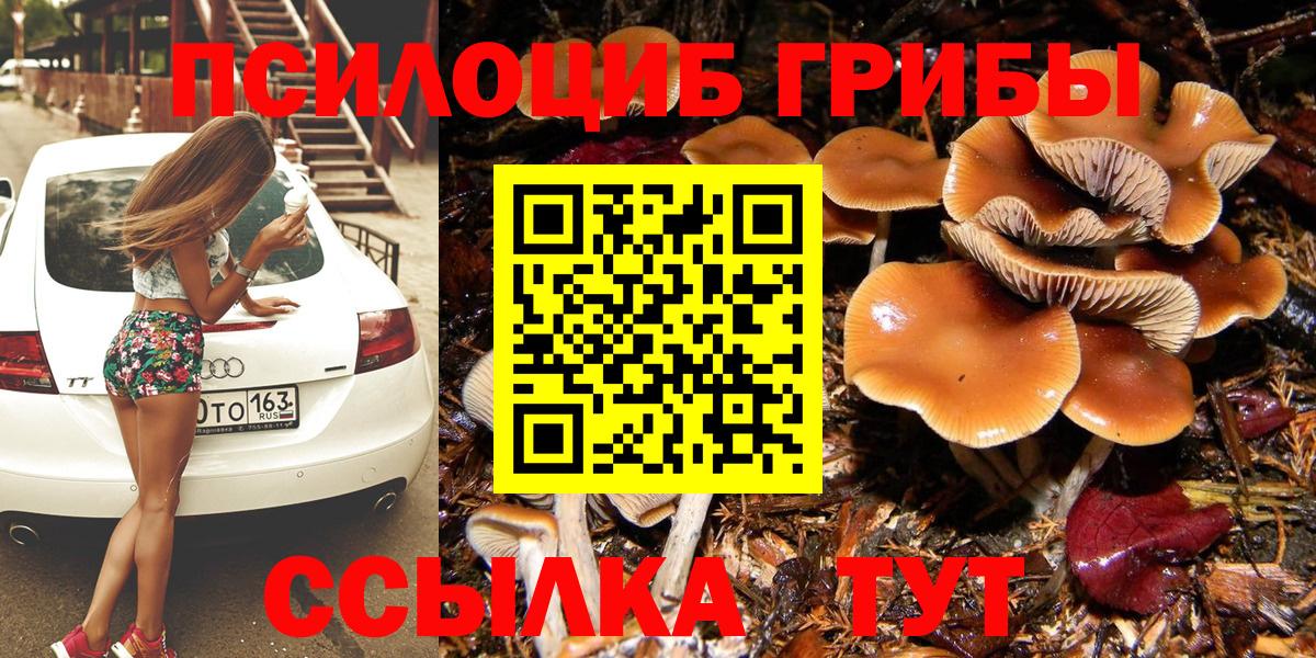 Галлюциногенные грибы Magic Shrooms  Вход с VPN  Рассказово 
